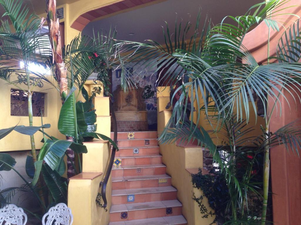 Secret Garden Inn เดลมาร์ ห้อง รูปภาพ